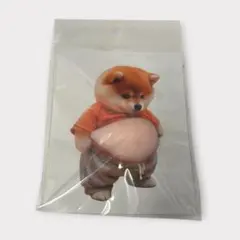 おなかぷくぷくシール 柴犬 3Dシール 立体シール スクイーズ お腹ぷにぷに 春