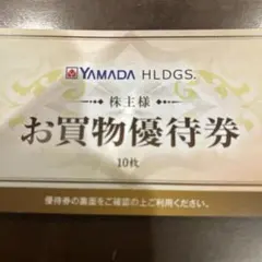 ヤマダ電機 株主優待券 10枚 (500円割引券×10枚、計5,000円分)