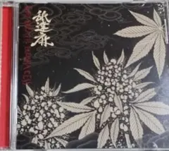 舐達麻 GOD BREATH BUDDHA CESS CD BADSAIKUSH