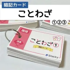 中学受験 国語（語彙）ことわざ 暗記カード3冊【KG001】のサムネイル