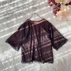 ⚫︎【le.coeur blanc】チュールドット柄カットソー（38）ブラウン