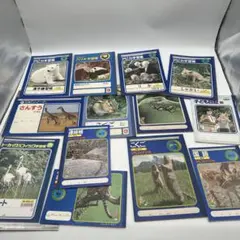レトロノート アピカ学習帳 ロビンノート まとめ売りのサムネイル