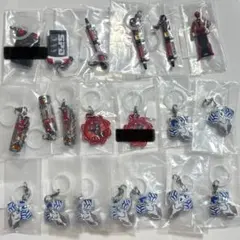 スーパー戦隊 めじるしアクセサリー レンジャーキー SPライセンス 獣電池