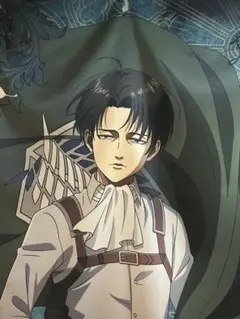 2026年最新】リヴァイ等身大タペストリーの人気アイテム - メルカリ