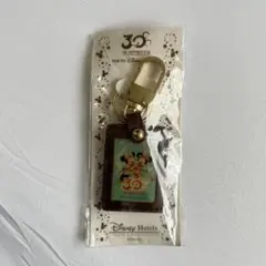 東京ディズニーリゾート 30周年 キーホルダー