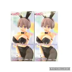 宇崎ちゃんは遊びたい！ω BiCute Bunnies Figure 宇崎花
