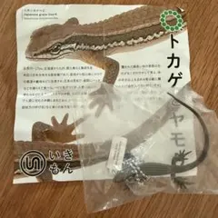 ヤモリ カプセルトイ