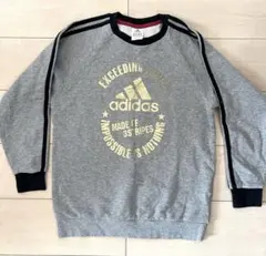 adidas トレーナー グレー　キッズ　160