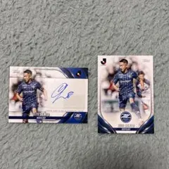 2014年FC町田ゼルビア 選手サイン入りボール 2014年FC町田ゼルビア 選手サイン入りボール 2014年FC町田