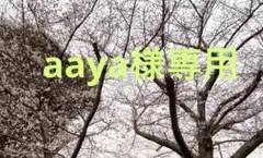 aaya様専用