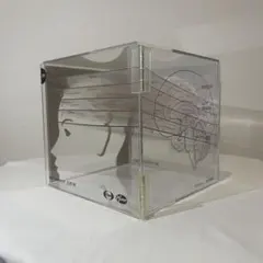 비매품 BrainCUBE 뇌 단면 모형 기타무라 신 감수 에자이 화이자