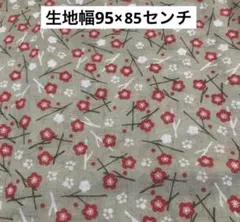 1407❄️クール便【珍種】完熟露茜梅 Mサイズ1kg キルトパッチ梅店