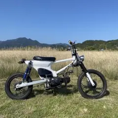 しんちゃんさん様専用 スーパーカブ50のサムネイル