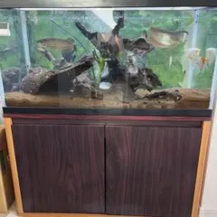 るー様ご確認用