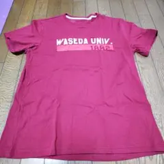 大学 Tシャツ