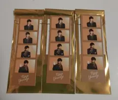 テニミュ　4th　フォトカード　立海　柳　3枚セット