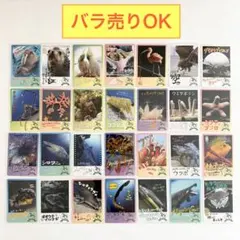 バラ売り可】鳥羽水族館コレクションカードvol.2 ノーマルセット