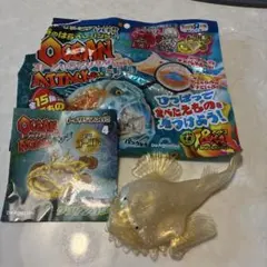 OCEAN ATTACK & Co. ビッグ　クツアンコウレア　レア　ゴールド