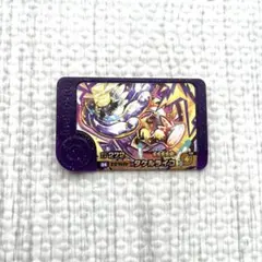 新品　未使用！タケルライコ　スーパートレジャー　ポケモンフレンダ