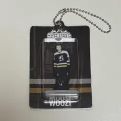 SEVENTEEN HOME 2025 アクリルキーリング ウジ