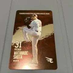 はまけん様 リクエスト 2点 まとめ商品