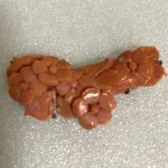 珊瑚　帯留め