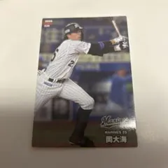 プロ野球チップス カード 岡大海