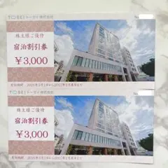 トーセイ 株主優待券 宿泊割引券 6000円分 ココネ TOSEIのサムネイル