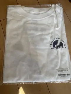 Item thumbnail for item fe2f1e78-025f-4669-b0fb-cd597e422e81