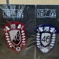 2026年最新】櫻坂46 新せ界の人気アイテム - メルカリ
