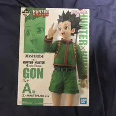 1番くじ HUNTER×HUNTER グリードアイランド A賞 ゴン