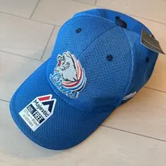 当時物・美品】西武ライオンズ NIKE キャップ 2002-03 プロコレ - メルカリ