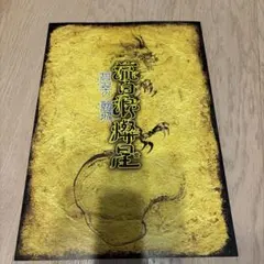 新作歌舞伎　流白浪燈星 碧翠の麗城　パンフレット