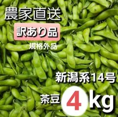 茶豆　4kg　機械選別　訳あり　B品　規格外　新潟産　新潟系14号　大容量のサムネイル