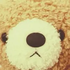 クマのぬいぐるみ