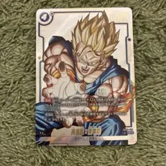 ドラゴンボール　孫悟飯:青年期　UC★　SB02-026