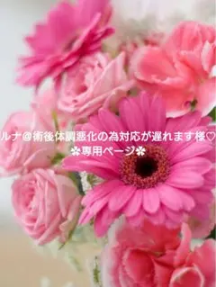 ルナ＠術後体調悪化の為対応が遅れます様 リクエスト まとめ商品♡