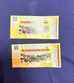 よみうりランド 入園ご招待券2枚セット(のりもの一回券付き)のサムネイル