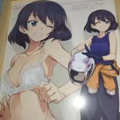 ガールズ＆パンツァー 　星野　額装　B5サイズ