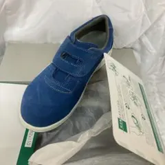 Item thumbnail for item 5fb1d49e-7e34-4668-8abd-bf1c7ab5e4e9