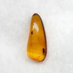 美品 虫入り 琥珀 化石 本物 バルト海産 ケース付 13.54mm ab248