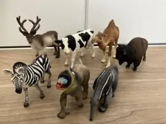 動物フィギュア シュライヒ サファリ社 7体セット
