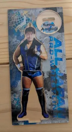 2026年最新】全日本プロレス サインの人気アイテム - メルカリ