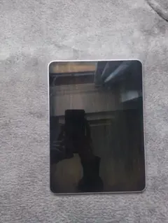 Apple 11インチiPad Air (M2) Wi-fi 本体