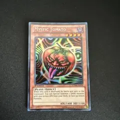 Item thumbnail for item f0b1c614-af50-477c-b23c-37cdc8505034