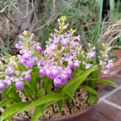 yoranda様 リクエスト 3点 まとめ商品