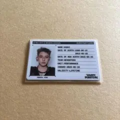 SEVENTEEN HAPPYBURSTDAY ホシ IDカード