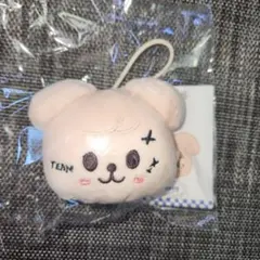 SKZOO KARMA ネームタグ PuppyM