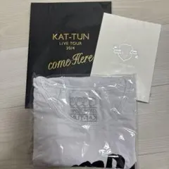 KAT-TUN/KAT-TUN LIVE TOUR 2014 come Her… - メルカリ