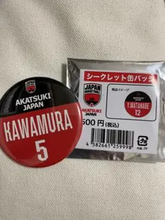 AKATSUKI JAPAN 缶バッジ 河村勇輝 5
